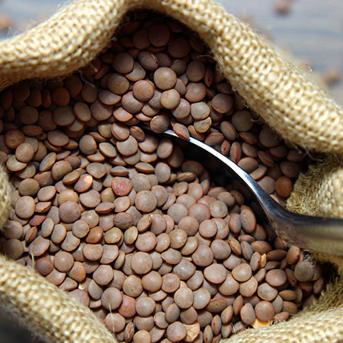 brown lentils in a bag, beetroot lentil salad