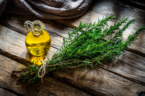  Rosemary
