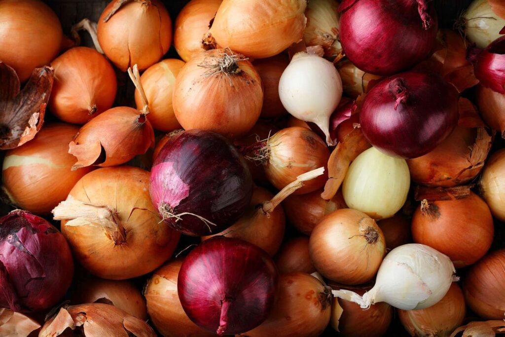 mixed onions, red onions, yellow onions, white onions