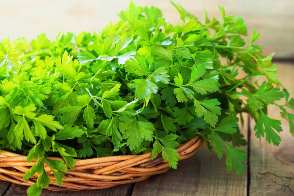 Parsley in a small basket