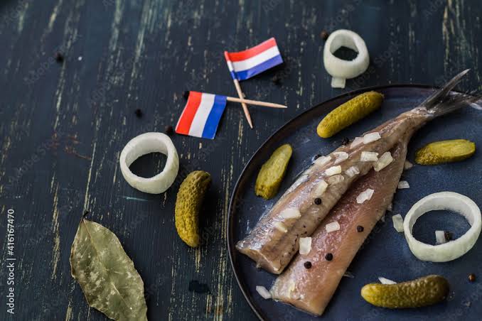 Herring fish 