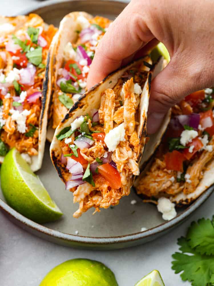 Tender Slow Cooker Chicken Tacos Everyone Will Love
